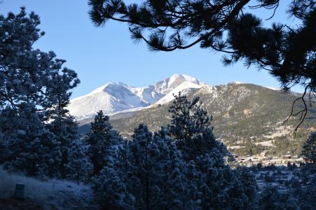 渴望峰, 雪, 科罗拉多州, 埃斯蒂斯帕克公园, 山, 景观, 松树