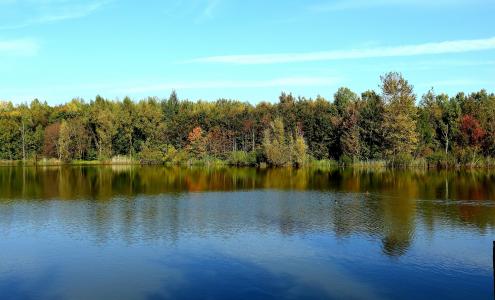 湖, 森林, 秋天, 树木, 自然, 水, 心情