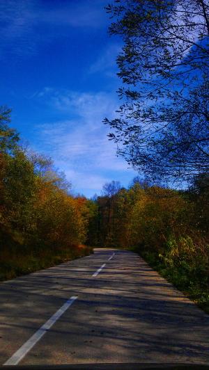 秋天, jesen, 自动, 道路, 汽车, 自然, 清洁