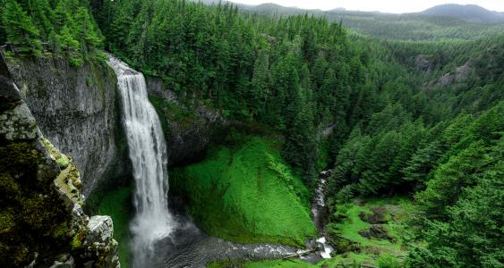 瀑布, 绿色, 草, 小山, 树木, 水, 流