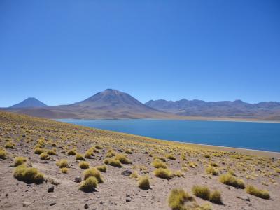 智利, 沙漠, 草原, 湖, 晴转多云, 蓝色, 火山