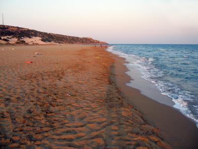 海龟海滩, 塞浦路斯, 土耳其语, 海, 水, 自然, 野生动物