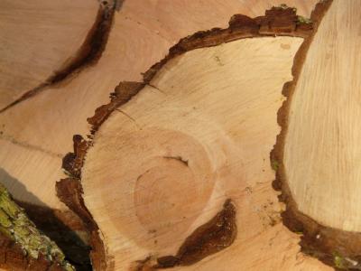 木材, 木柴, 看到, 木制品, holzstapel, 树, 木质印章