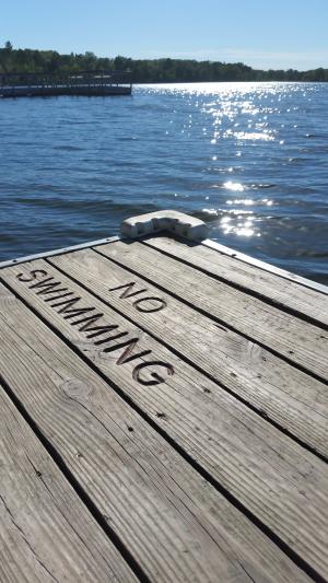 湖, 码头, 秋天, 夏季, 不游泳, 木材, 北岸