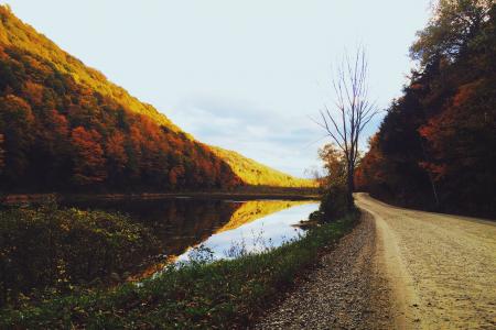 秋天, 秋天, 森林, 徒步旅行, 湖, 景观, 自然
