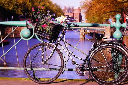 自行车, 花, 运动, 休闲, 艺术, 绽放, 美化