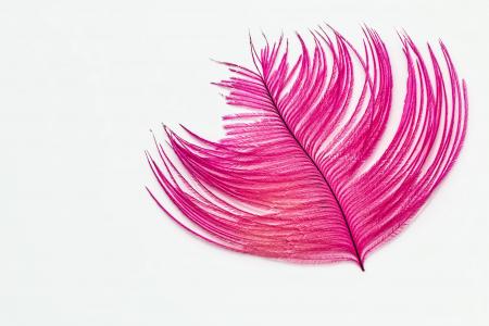 羽毛, 桌面墙纸, 鸵鸟羽毛, 粉色, 摘要, 形状, 背景
