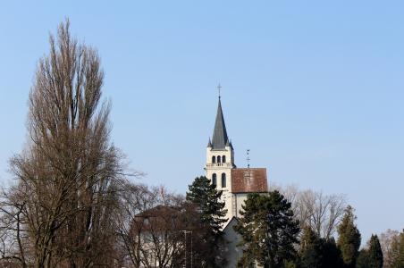 教会, 尖塔, 阿里·斯克斯伯格, 景观, romanshorn, 瑞士