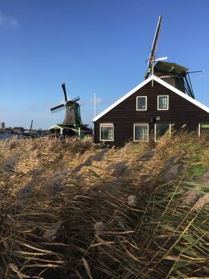 荷兰, 风车, 风车, 荷兰, windräder, 荷兰风车, 景观