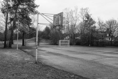 景观, 黑色白色, 篮球, 树