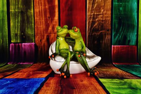 恋人, 青蛙, 有趣, 双, 爱, 可爱, 青蛙