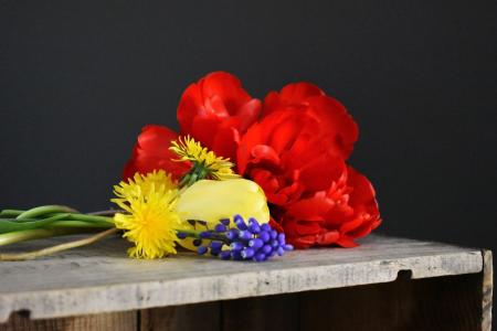 花, 郁金香, 束花, 木制板条箱, 蒲公英, 花束