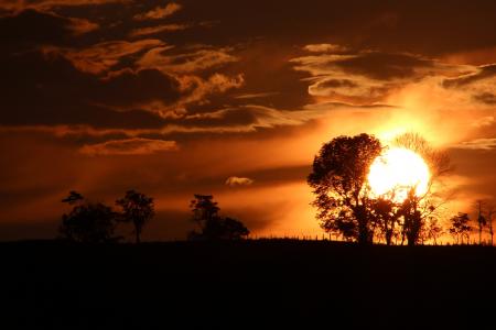 日落, 戏剧, 橙色的天空, silhouetts 树, 里萨拉尔达, 圣罗莎-阴谋集团, 晚上