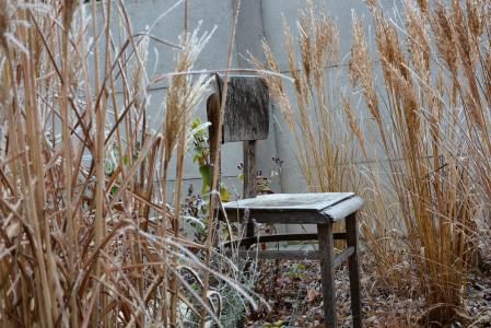 冬天, 椅子, 弗罗斯特, 户外, 白天, 没有人, 草