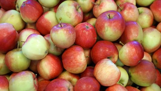 水果, 苹果, 水果, kernobstgewaechs, apfelernte, 健康, 食物和饮料