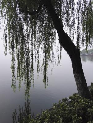 杭州, 西湖, 风景