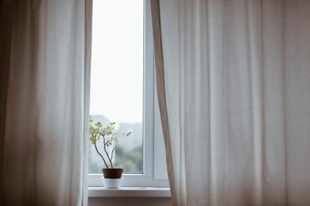 窗帘, 装饰, 室内, 植物, 盆栽植物, 窗口, 窗帘