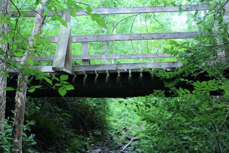 那座旧桥, 水, 这座木桥, 自然, 树, 森林, 木材-材料