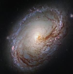 螺旋星系, 中间, double-barred, ngc 3368, 更杂乱96, 星星, 空间