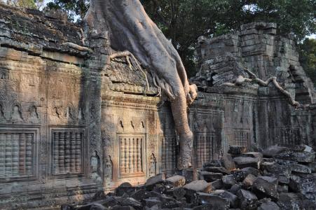 寺, 废墟, 树的根节点, 吴哥窟亚洲, 吴哥, 柬埔寨, 高棉