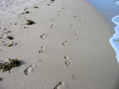 脚印, 海滩, 沙子, 脚印, 海洋, 大西洋, 佛罗里达州