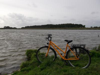 湖, 自行车, 水