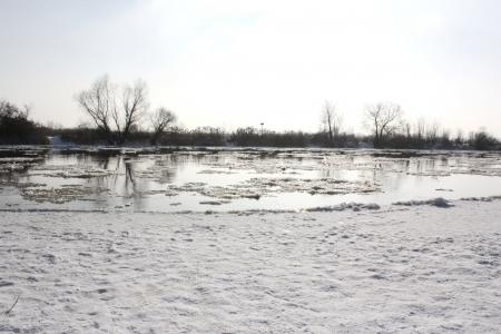 河, 冰冻河, 白色, 雪, 冰, 景观, 感冒