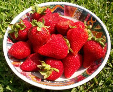 草莓, 浆果, 赛季, 甜, 健康, 饮食, 有机