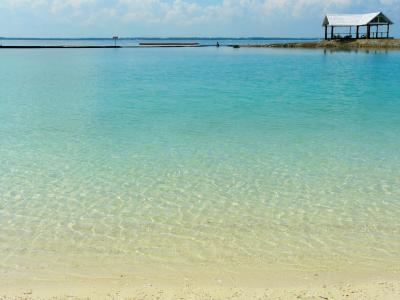 美丽, 清澈的水, 蓝色, 海滩, costabella 度假村, 宿务, 菲律宾