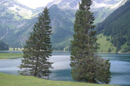 vilsalpsee, 湖, 水域, bergsee, 奥地利, 景观, 田园