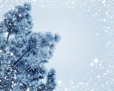 雪, 圣诞节, 假日, 弗罗斯特, 圣诞树, 背景, 闪亮