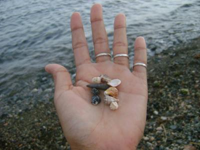 手, 蜗牛, 海, 小, 沙子