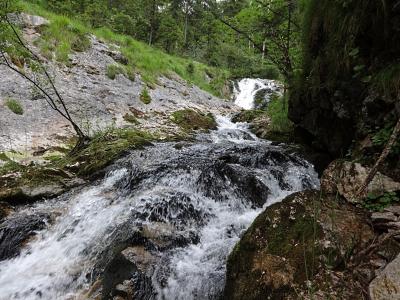 白色巴赫, 白色溪湿冷, 巴赫, 山间小溪, 洪流, 上部巴伐利亚, 自然