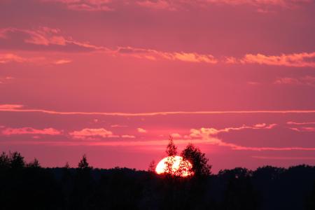 粉红色的日落, 晚上, 自然, 天空, 日落, 树, 剪影