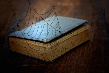 书, 老书, 使用, 戴, 木材, 木地板, 蜘蛛网