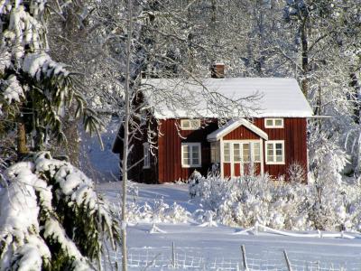 房子, 小屋, 冬天, 红草堂, 瑞典, 森林, 自然
