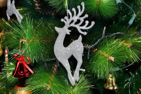 圣诞节, 树, 圣诞树, 圣诞快乐, 庆祝活动, 圣诞装饰, 传统