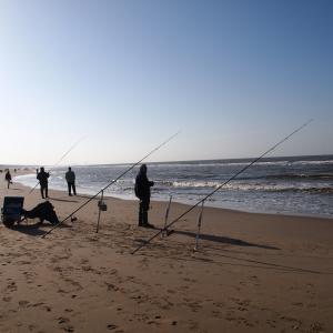 剪影, 人, 捕鱼, 海, 海滩, 钓鱼杆, 景观
