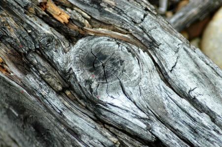 木材, 老, 干, 结, 裂缝