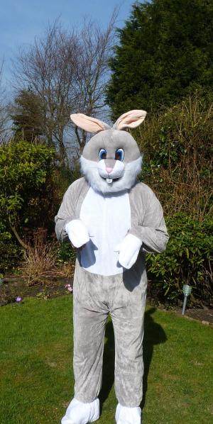复活节兔子, 兔子, 华丽的礼服, 服装, 乐趣, 蓬松