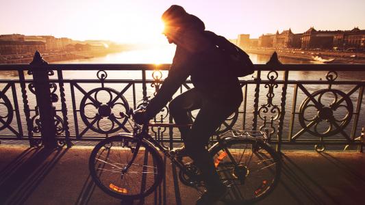 自行车, 自行车, 桥梁, 感冒, 通勤, 骑自行车, 骑自行车的人