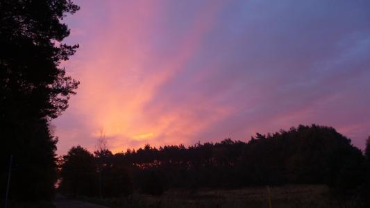 日出, 紫色, morgenstimmung, 云彩, 天空, 天空, 心情