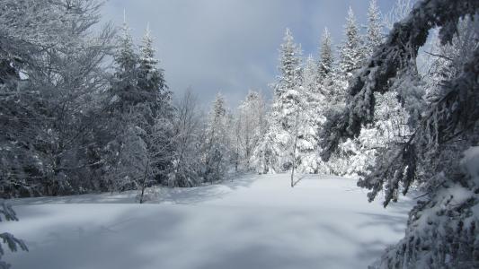 雪, 景观, 白色, 冬天, 山脉, 白雪皑皑, 冷杉