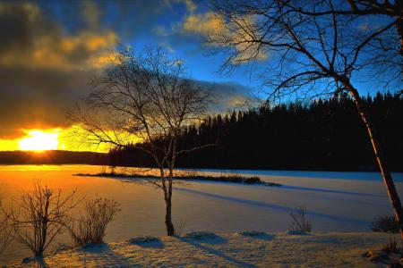 冬季景观, 日落, 树木, 晚上, 雪, 反对的一天, 天空