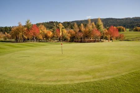 高尔夫, 秋天, 南蒂罗尔, 堡, 高尔夫球场, 景观, 休闲