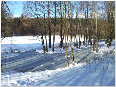 冬天, 雪, 景观, germering, 自然, 树, 低温