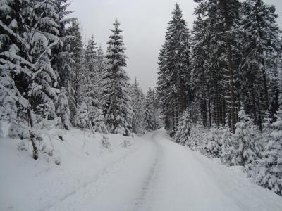 温特贝格, 德国, 雪, 越野滑雪, 冬天, 景观