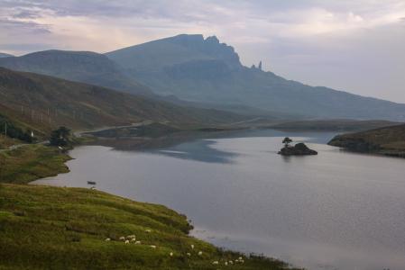 苏格兰, 羊, 山, 岛屿, 水
