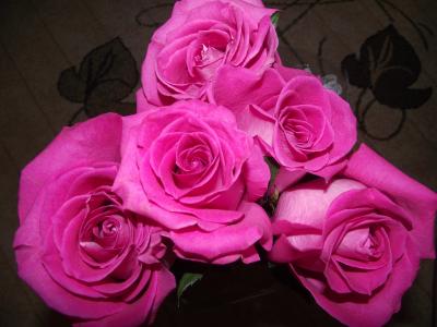紫色玫瑰, 上升, 玫瑰, 粉红玫瑰, 花束, 花, 粉红色的玫瑰