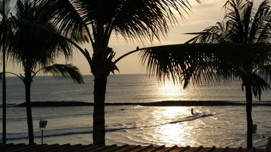 巴厘岛, 日落, 棕榈树